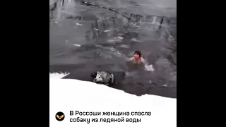 Женщина прыгнула в ледяную воду, чтобы спасти чужую собаку