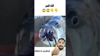 Allah ki qudrat 😱#allah #youtubeshorts #viral