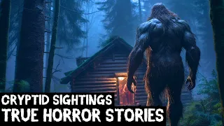 10 TRUE Disturbing Cryptid Sightings Horror Stories Told In The Rain (Dogman,Sasquatch,Wendigo...)