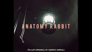 คำบางคำ (Original By Sqweez Animal) - ANATOMY RABBIT [Unofficial Audio]