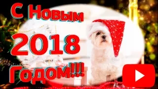 Поздравление друзей и коллег с Новым 2018 Годом от Ольги Степаненко!