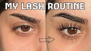 How I keep my straight lashes curled ALL DAY *Includes my tiktok viral curling method*