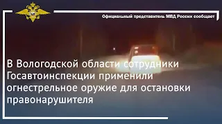 Ирина Волк: Сотрудники Госавтоинспекции применили огнестрельное оружие для остановки правонарушителя