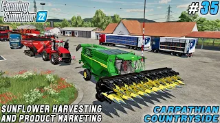 Sunflower Harvesting, Generating Million Profit from Manufacturing | Carpathian Farm | FS 22 | #35