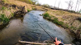 My Trout Fishing Adventure in Minnesota