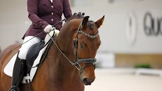Kristina Brown & Dreamheart 1st level test 3 March 2023