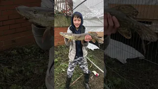 MASSIVE FIRST EVER PIKE CAUGHT 2020😅🤯