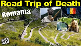 ROAD TRIP FULL OF DANGER | Wild Bears | Transfagarasan Road | Castle of Death | Massive Dam
