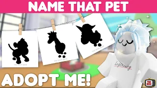 Name that Adopt Me Pet Challenge | 20 pets to identify