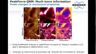 AFM | Progress in Nanomedicine: Applications of Force Spectroscopy & PeakForce Tapping | Bruker