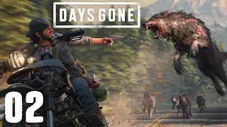 DAYS GONE #02 PS5 | Gare aux Loups ! Rediff Live Part 2