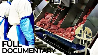 The Meat Lobby: How the Meat Industry Hides the Truth | ENDEVR Documentary