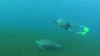 Nage avec tortue en Guadeloupe