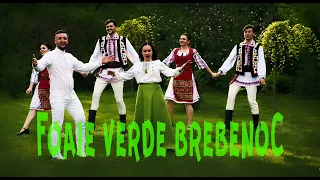 Ilie Maxian & Nătălița Olaru - Foaie verde brebenoc