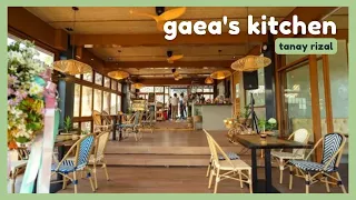 tanay's hidden gem | gaea's kitchen (beautiful flower garden)