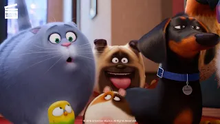 The Secret Life of Pets: Pops’ Place (HD CLIP)