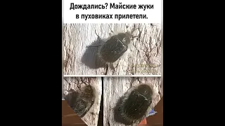 Для нас Любимых♥️♥️♥️