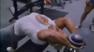 Tom Platz back training at Gold's gym