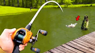 Fishing for GIANT Bass in HIDDEN Pond! (LOADED)