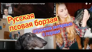 Русская псовая борзая: большущее интервью о породе