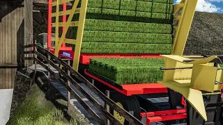 200 SMALL SQUARE BALES (Baling and Autoloading) | Thrustmaster T248 gameplay