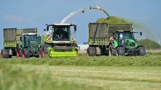 Grass silage and Pit work with a Claas Jaguar 960, by contractor Hut from Zeewolde, NL