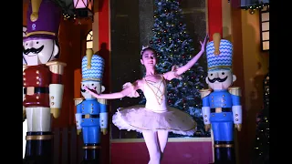 圣诞之夜的奇幻梦境之旅——《胡桃夹子之糖梅仙子之舞》