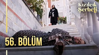 Kızılcık Şerbeti 56. Bölüm  @showtv