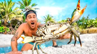 Giant Crab On Tropical Island Catch And Cook