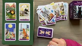 Pagan Cats Tarot. Flip thru. Обзор колоды Языческие Коты. Мои новые карты для гадания! Таро Канада