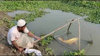 Traditional net fishing video - Professional fish hunter catching fish by net (Part-28)