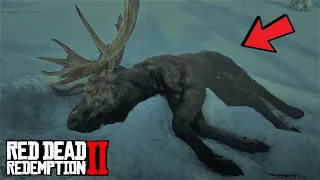 Где найти ЗАПАДНОГО ЛОСЯ в Red Dead Redemption 2