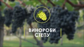 ВИНОРОБИ СТЕПУ. Історії виноробів Дніпропетровщини