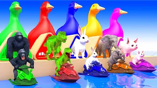 5 Giant Duck, Monkey, Lion, chicken, cow, dinosaur, Tiger, Sheep, Transfiguration funny animal 2024