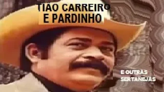 TIÃO CARREIRO E PARDINHO MÚSICAS APAIXONADAS SELEÇÃO INESQUECÍVEL DAS MELHORES pt11 CANAL ROBINHO