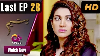 Pakistani Drama | Yateem - Last Episode 28 |  Aplus | Sana Fakhar, Noman Masood, Maira Khan| C2V1