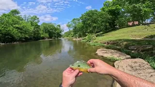 Wading the Thompson Lane TrailHead for Whatever Bites!