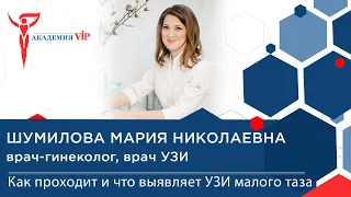 УЗИ малого таза:как проходит процедура и как подготовиться к УЗИ? Виды УЗИ малого таза