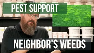 What do you do about Weeds Coming from your Neighbor's Lawn? | Pest Support