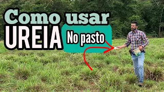 O QUE A UREIA FAZ COM SEU PASTO