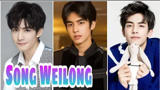 Song Wei Long Lifestyle, Biography (A League of Nobleman) Girlfriend, Age, Height, Facts BY ShowTime