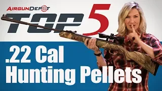 Top 5: .22 Cal Hunting Pellets