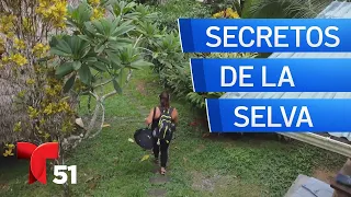 Secretos de la selva: el documental