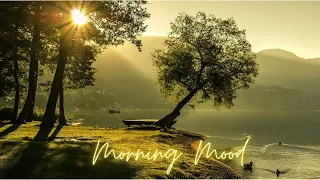 Edvard Grieg - Peer Gynt - Morning Mood [HQ] - Beautiful, iconic & relaxing morning music,