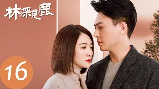 ENG SUB【林深见鹿 Nice To Meet You Again】EP16 公司补偿方案被泄露，林绍涛与简艾达成合作关系（靳东、李小冉）