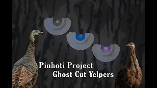 Turkey Calls | Pinhoti Project: Ghost Cut Sound File | What's the difference? | Yelping to Purring