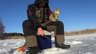 Этот рыбак обловил всех! Первый лед!