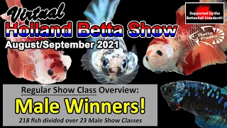 Overview Male Winners - Virtual Holland Betta Show 2021