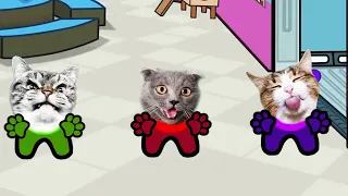 Cat and CREWMATES. Pushcats cat Cartoon Animation. Non stop All Best Stories 20 min.