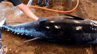 Perfect Cutting Skills of 407kg Giant Bluefin Tuna with Shiny Skin